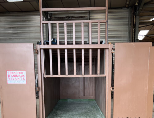 Réalisation : Sol en résine polyuréthane pour cage de transport de rhinocéros – Loire (42)